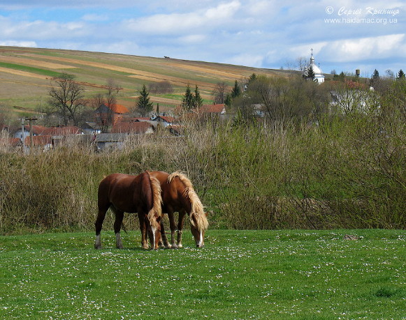 Image - The village of Urman in the Opilia Upland. 